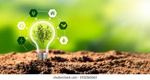 Seva Eco-Friendly